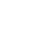 Detailed Reports
